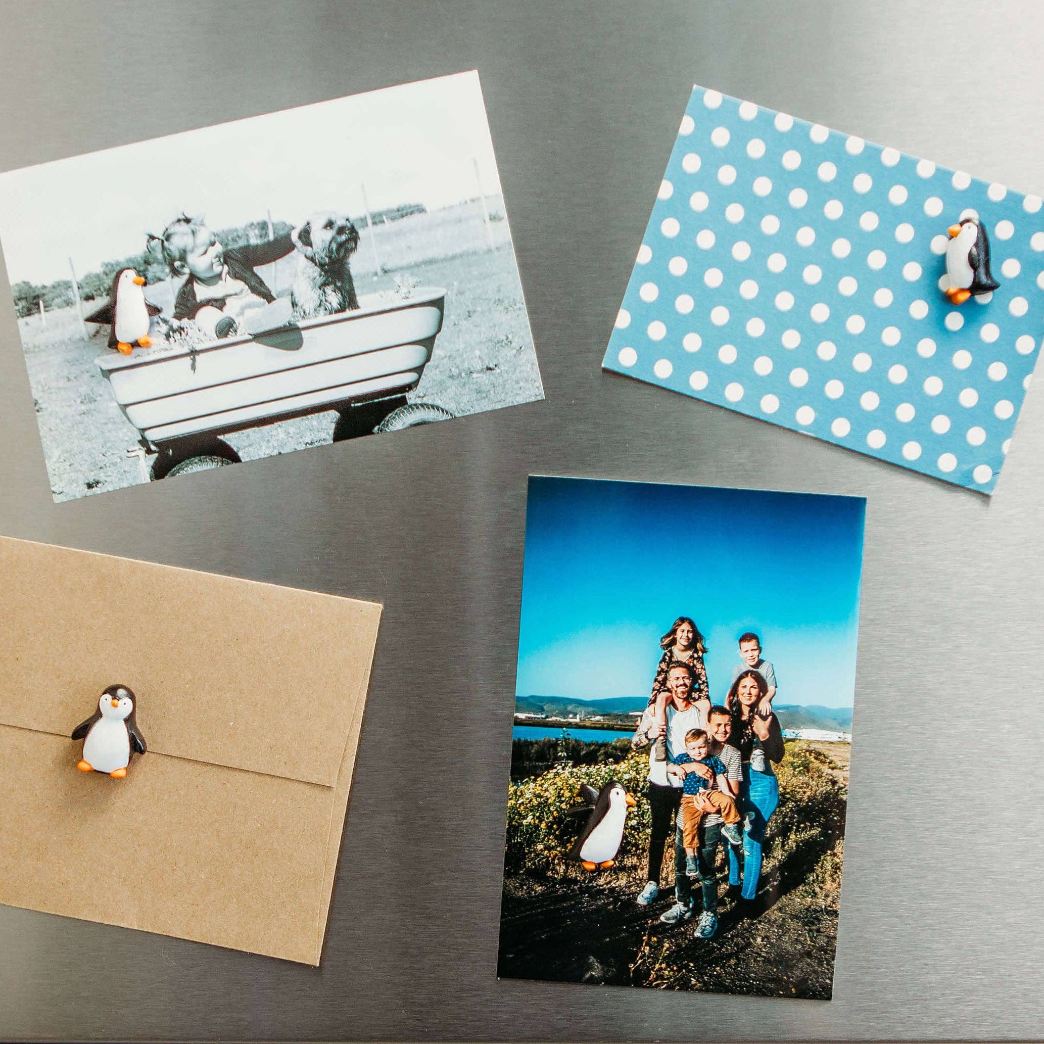 Colorful PENGUIN magnets s/4