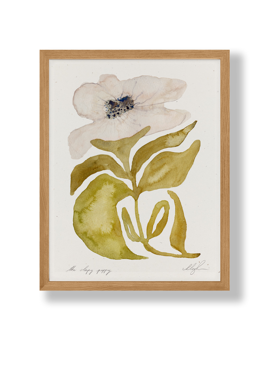Poppy