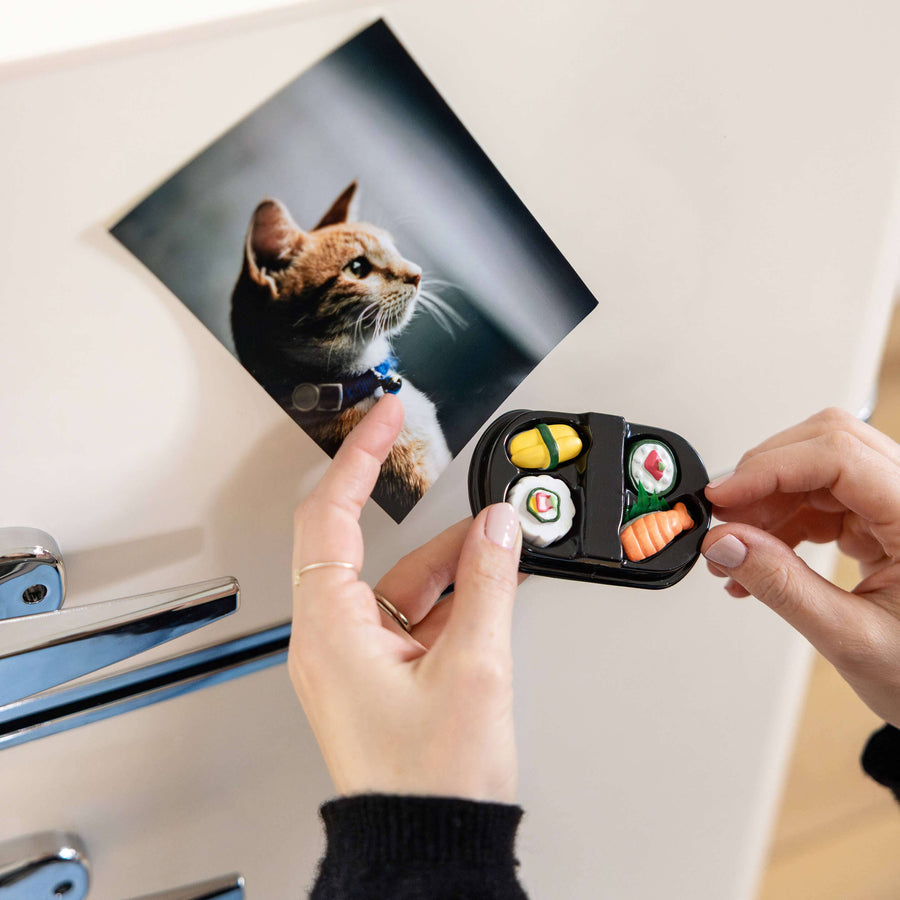 Colorful SUSHI magnets ICONIC packaging s/4