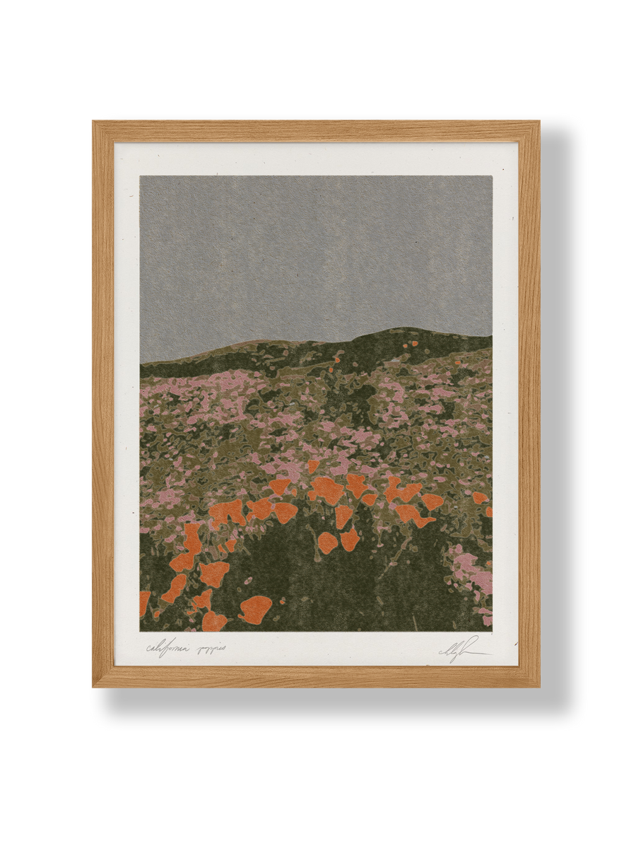 California Poppies