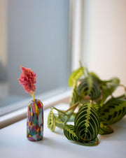 Rainbow Mini Vase