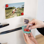 Colorful STRAWBERRY magnets ICONIC packaging s/4