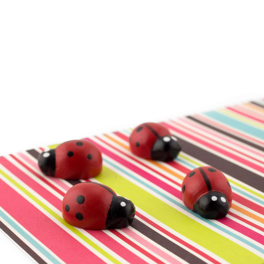 Colorful ladybug magnets