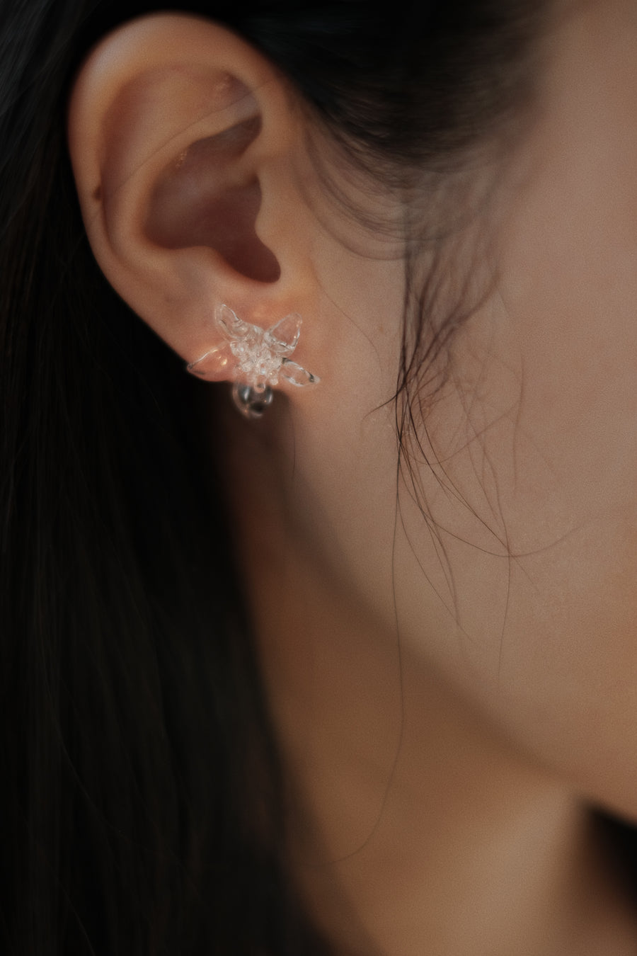 Bloom