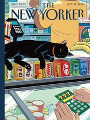 Bodega Cat