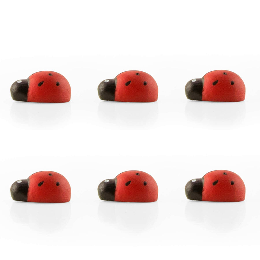 Colorful ladybug magnets