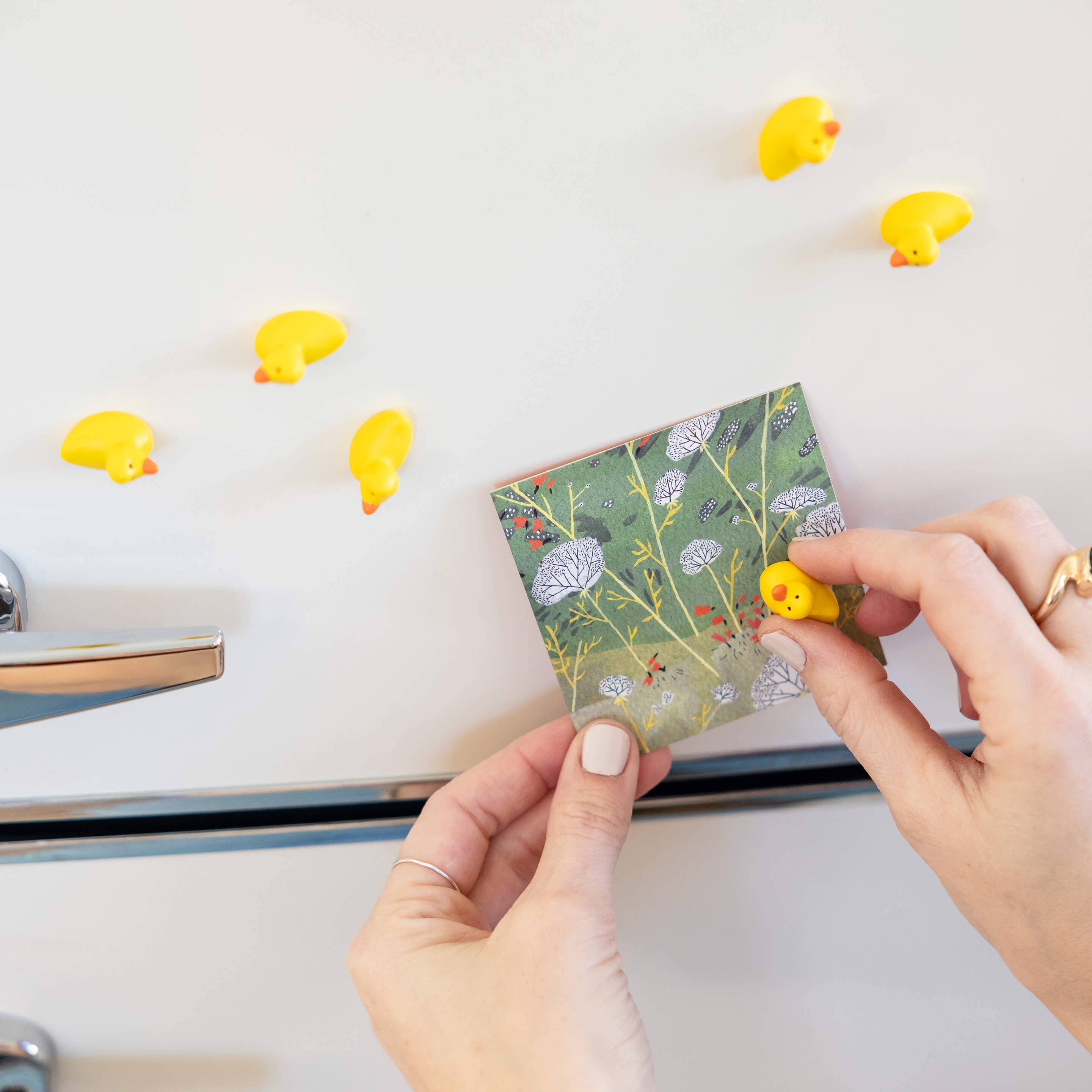 Colorful duck magnets