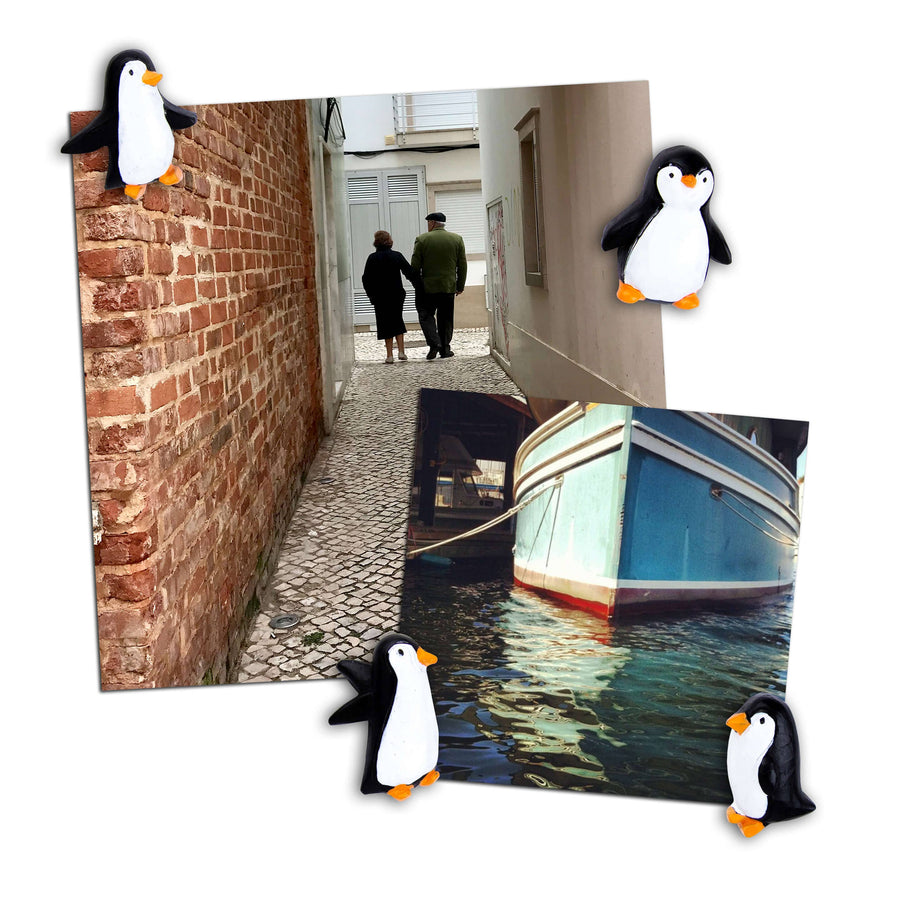 Colorful PENGUIN magnets s/4