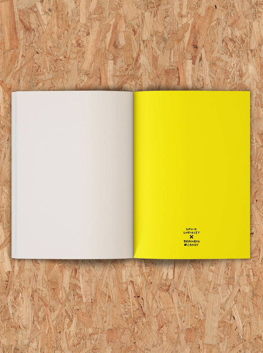 Art Save The World Sketchbook by David Shrigley