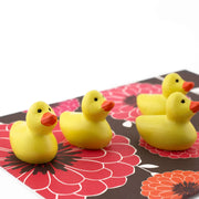 Colorful duck magnets