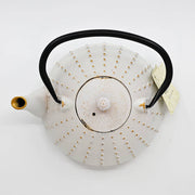 White Tokusa Design 40oz Cast Iron Tea Pot