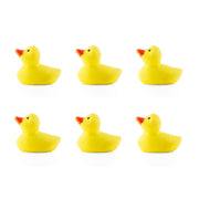 Colorful duck magnets