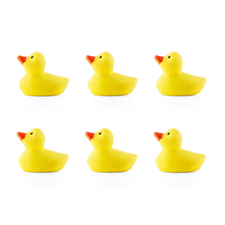 Colorful duck magnets