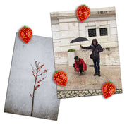 Colorful STRAWBERRY magnets ICONIC packaging s/4